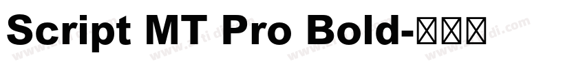 Script MT Pro Bold字体转换